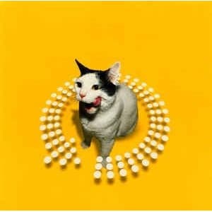 Cd Dj Peter Rauhofer Twist This Pussy - Club 69, S&h