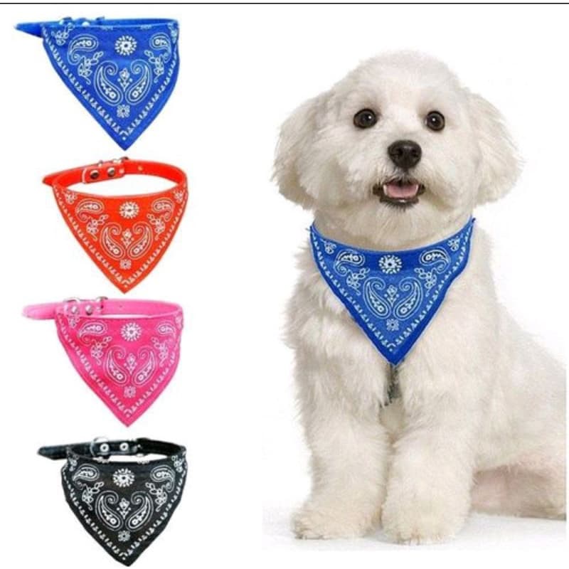 Coleira Fina Bonita Bandana +Sino Guizo de Para Animais de Estimação / Gato / Cachorro / Filhote Pet