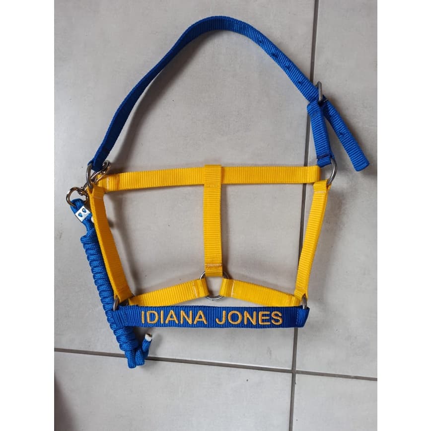 Cabresto 2 cores Personalizado