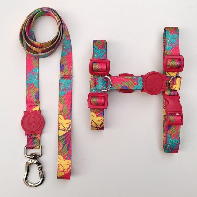 Peitoral H Anti-Puxão para Cachorros - Colorido com detalhes em vermelho