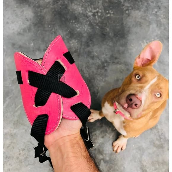 Focinheira Para Cachorro Com Regulagem E Confortável