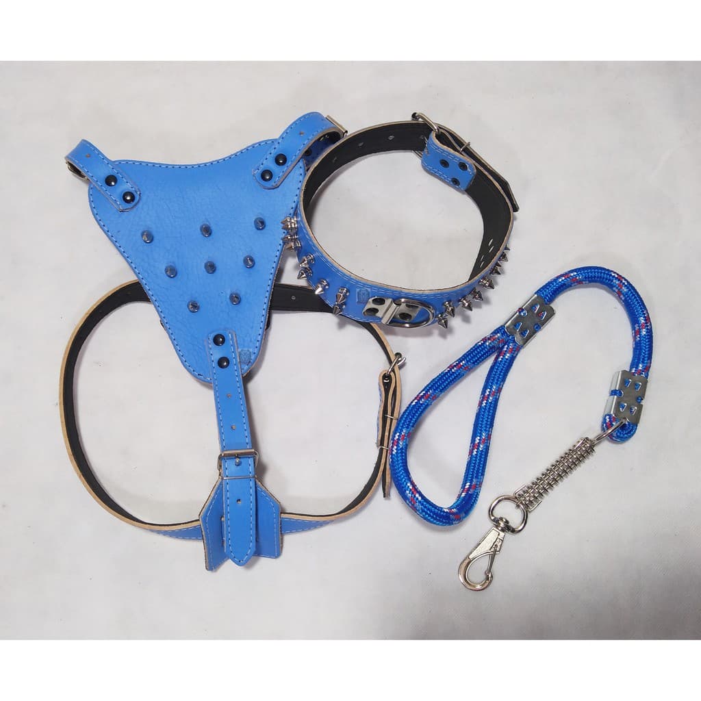 Peitoral de cachorro Pitbull couro legítimo + Guia coleira para cachorro grande e medio porte super resistente