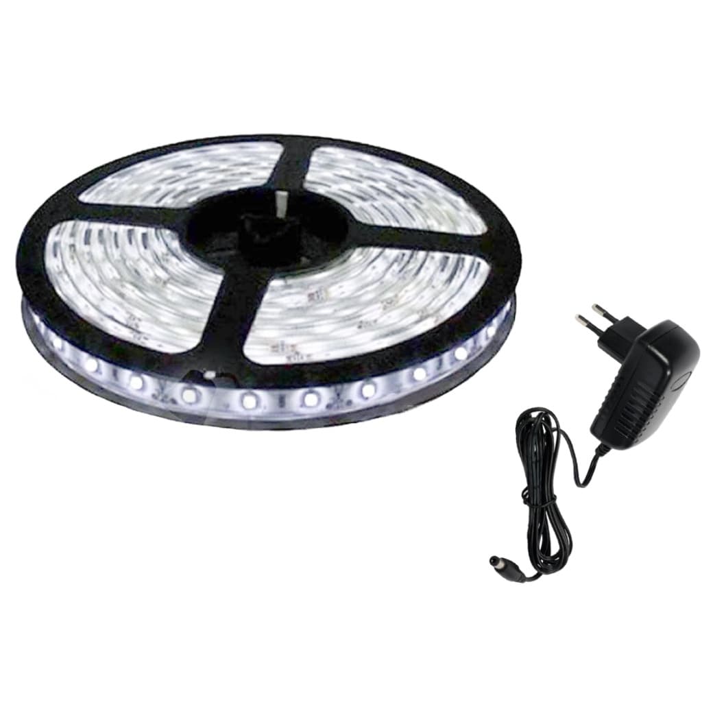 Fita de Led 5050 Branco Frio 5 metros com Fonte