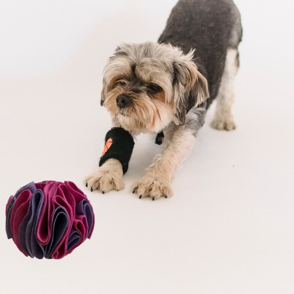 Brinquedo para Cães Bola para Cachorro Esconder Petisco bola interativa para cachorro Bolinha Pet