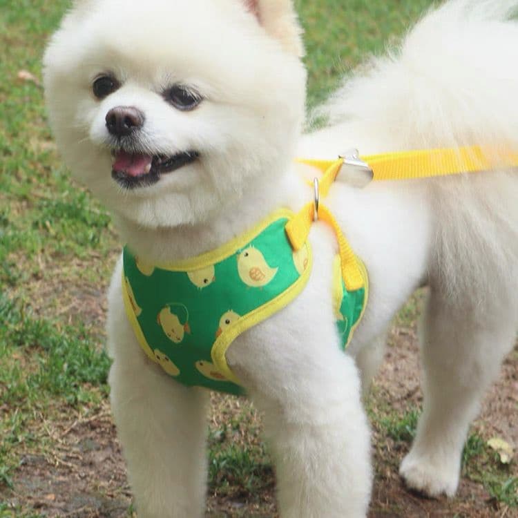 Coleira Para Cachorro Ajustável de Algodão Super Fofa de Bichinhos Porte Pequeno