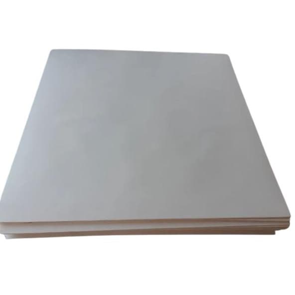 Jornal Pet 7 Kilos Papel Absorvente Folha Grande