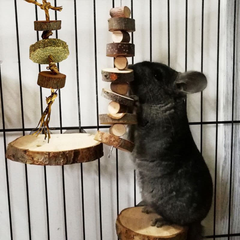 Brinquedo Molar Para Bolo / Coelho / Chinchilas / Hamster / Mordida