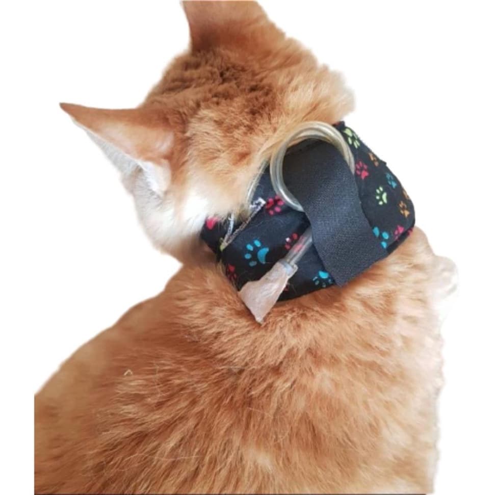 Colar Protetor Sonda Esofagica Pet Cachorro Gato