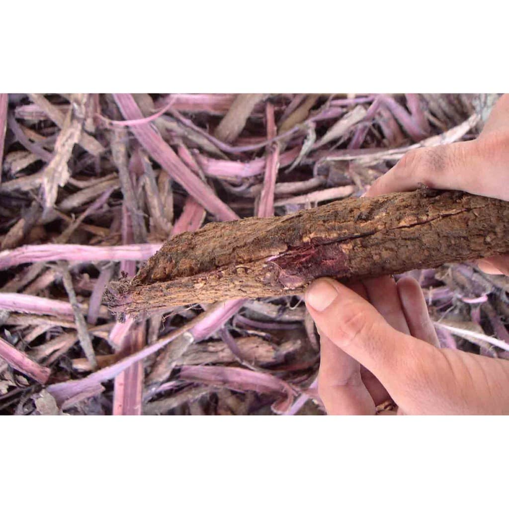 Jurema Preta (mimosa hostilis) casca da raiz 20kg