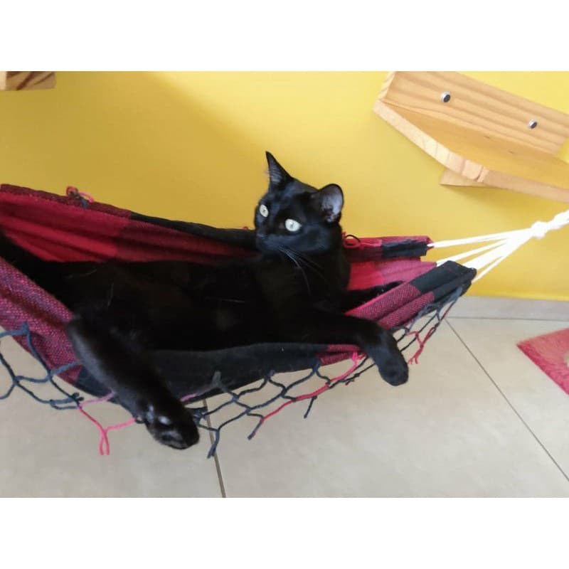 Caminha de gato - Rede várias cores - rede para gato, cachorro, furão, ferret