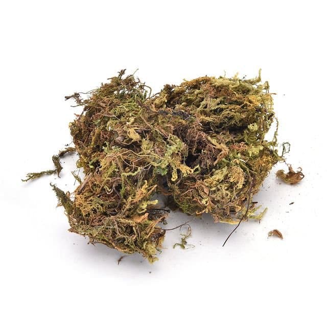Musgo Seco Verde 2L