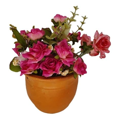 Vaso Cachepot Para Bonsai Plantas Pequenas Suculentas Cactos