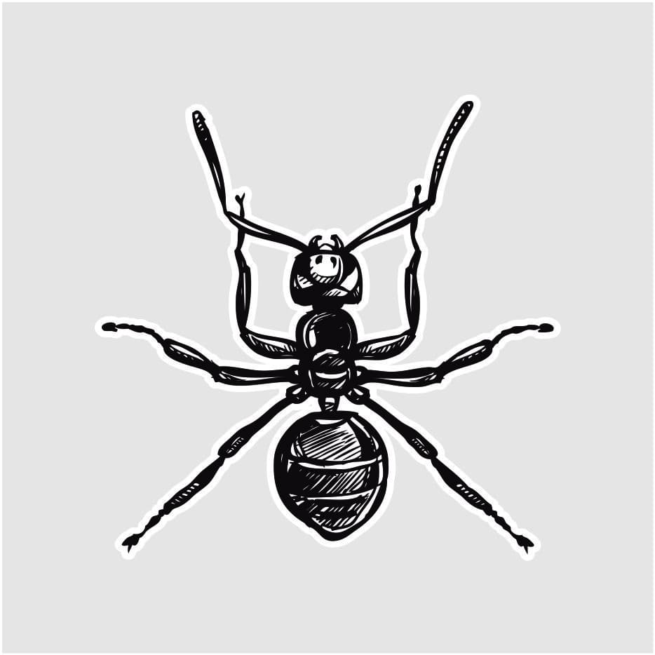 Kit 50 Adesivo Formiga Linha Botânica 4x4cm Sticker Etiqueta