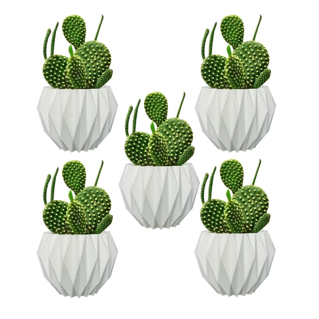 Kit 5 Vasos Origami Enfeite Sala Rack Cozinha p/ Flores