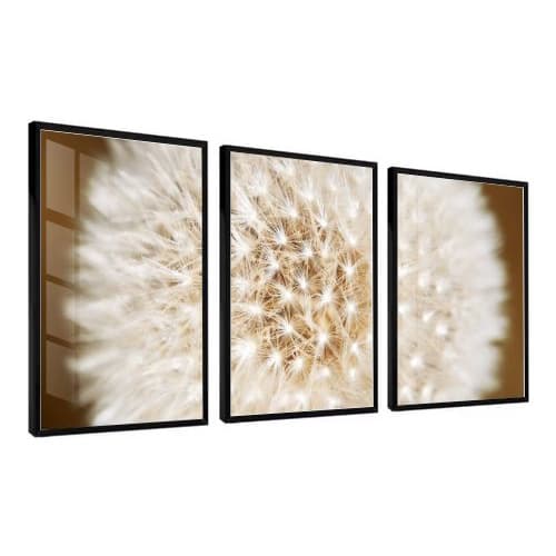 Quadros decorativos flor dente de Leão quarto sala