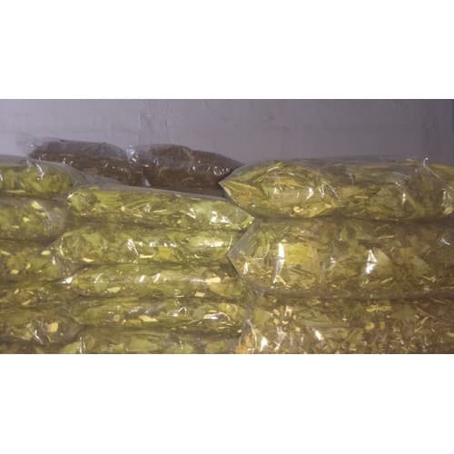 Laranjeira Em Folhas, 500gr, 100% Original, Com Procedência