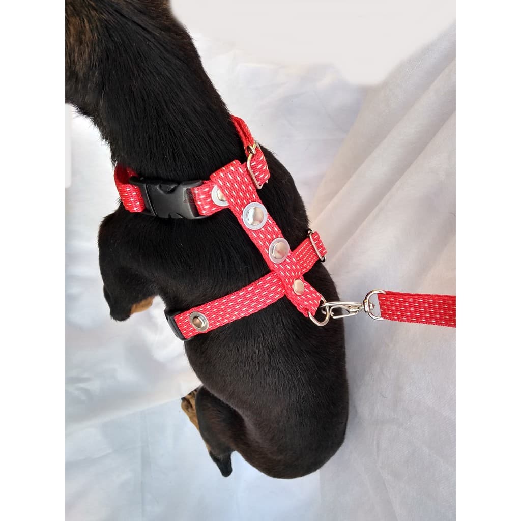 peitoral passeio c/ guia gatos ferret furao coelho cachorros cães pets e guia com cinto de segurança