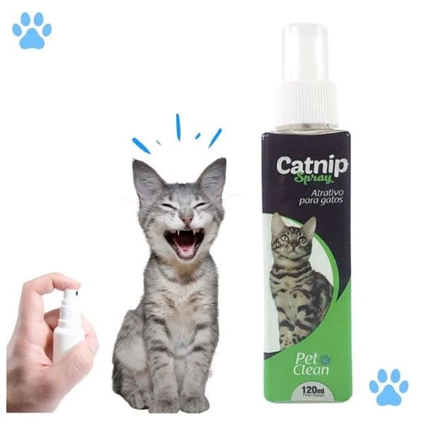 Catnip Erva Gateira Spray Atrativo Para Gato Pet Clean 120ml