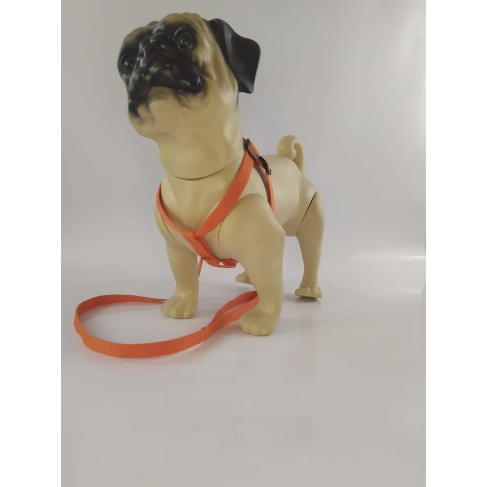 Peitoral 4 patas Nylon 0 á 4 com guia Nylon para Cão.