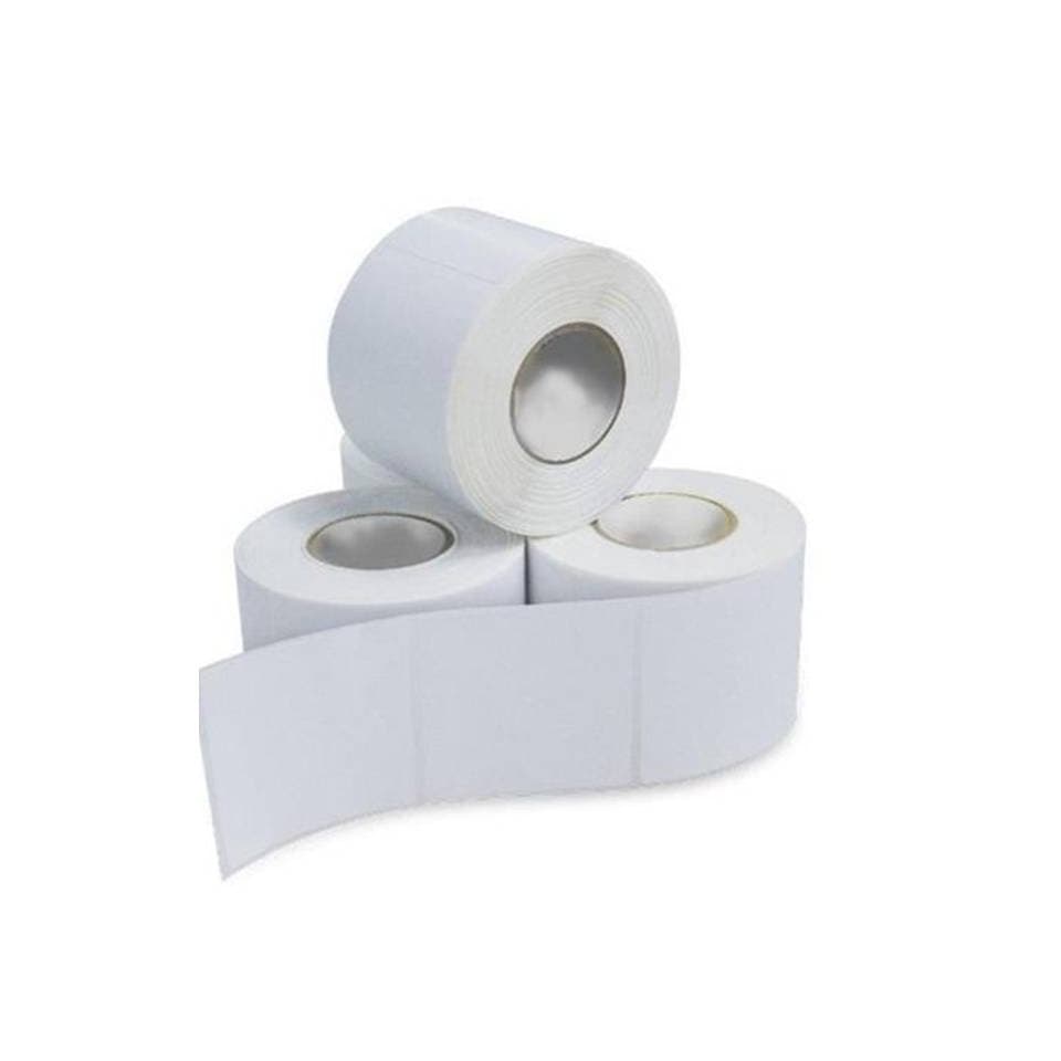 Kit Com 10 Rolos Etiqueta Couche 100x60 (mm) 10x6 Cm