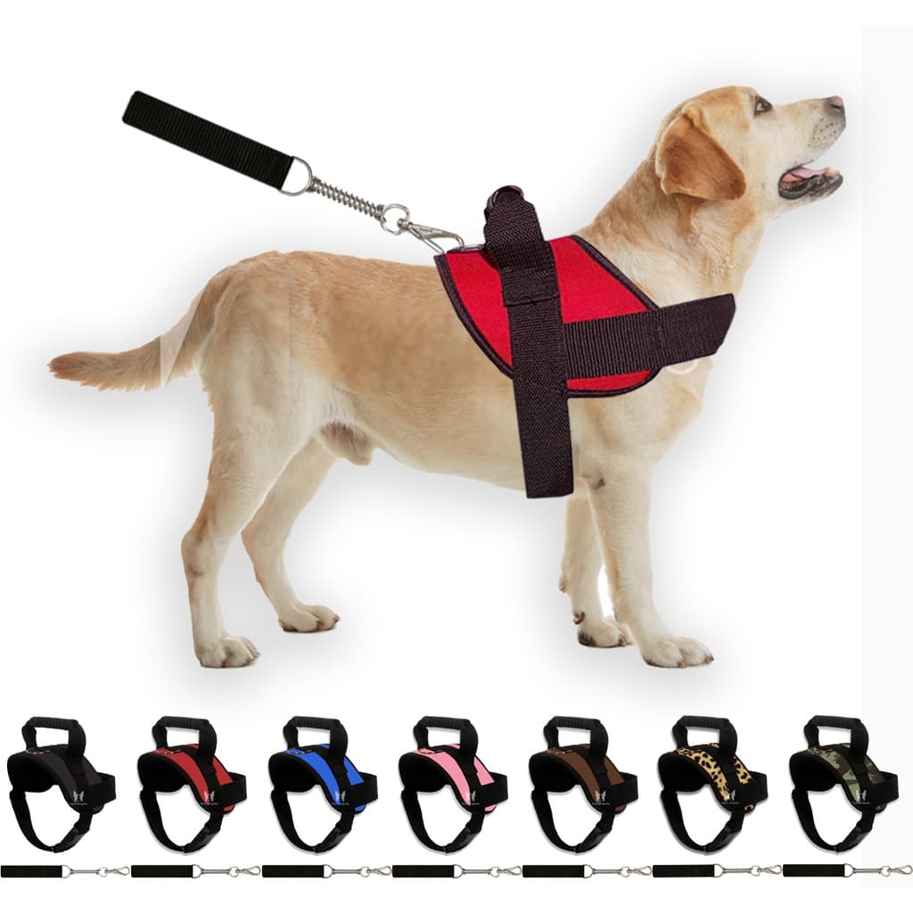 Peitoral coleira para cachorros de grande medio porte reforçado para Pittbull Pastor Rottweiler Dogo labrador