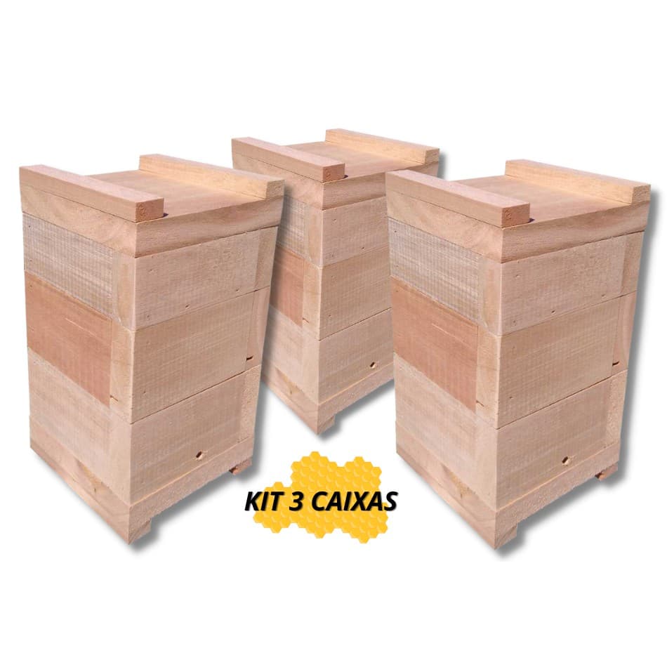 Kit 3 Caixas de Abelhas Jatai Mirim Asf Modelo Inpa Madeira Eucalipto Rosa 10x10cm Interno