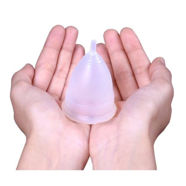 1 Unidade Coletor Menstrual (G) Reutilizável Ecológico Large AneerCare