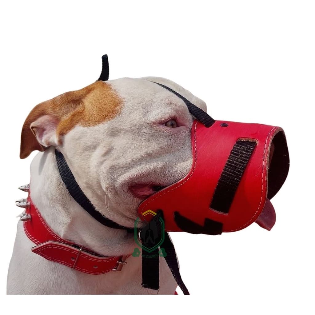 Focinheira pra cachorro em couro reforçada e regulável Pitbull, Husky Siberiano, American Bully, Rottweiler, Pastor Alemão, Golden Retriever, Buldog, Bull Terrier, Chow Chow, viralata, border collie, dogue, basset, spaniel, american, samoieda, jack russel