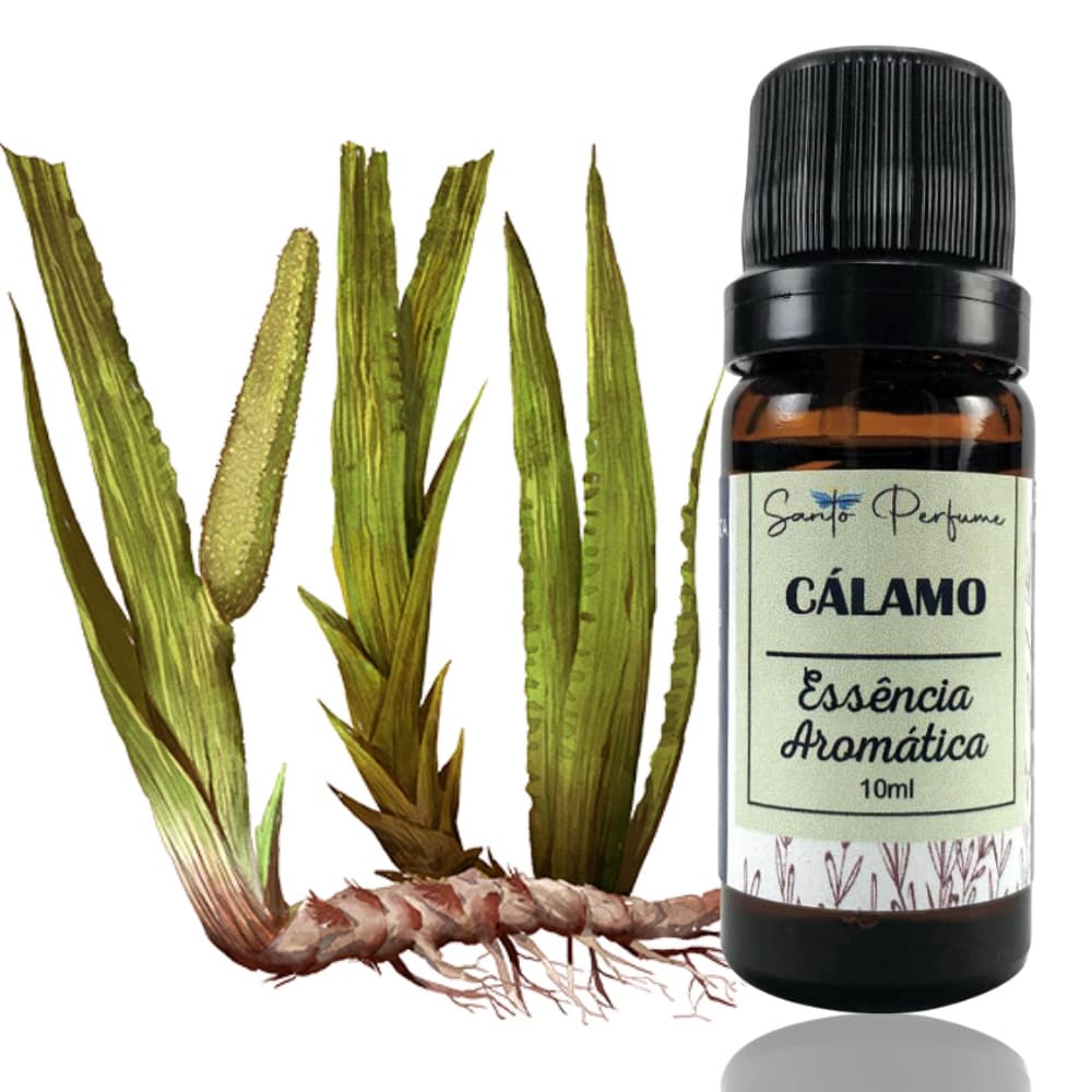 Essência Aromática de Cálamo 10ml da Santo Perfume