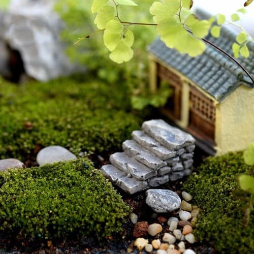 1 Escada Terrários Mini Jardim Miniaturas Cactus Suculenta 2 cm