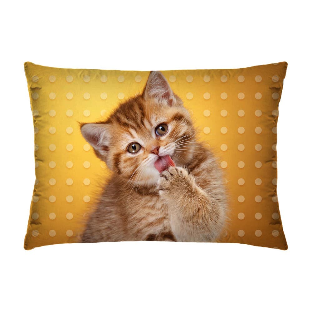 Almofada Gatinho