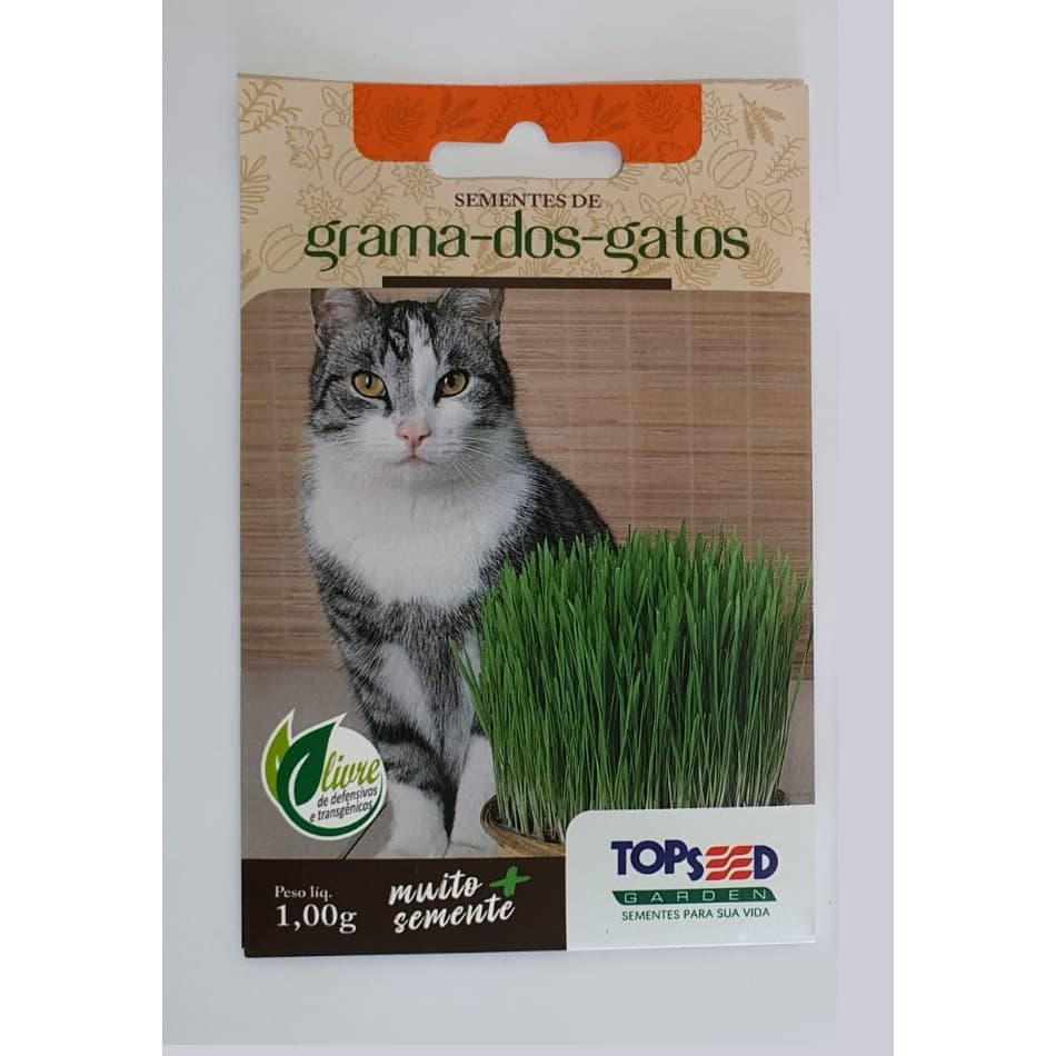 Grama Dos Gatos A Verdadeira  1000 Sementes
