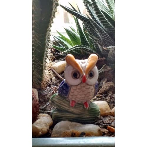 1 Coruja Corujinha Indiana Terrários Mini Jardim Miniatura