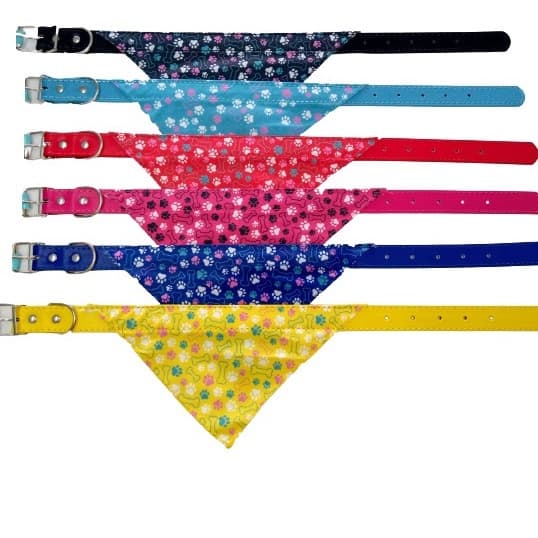Coleira Bandana Gato/Cachorro Filhote  Coleira Para Gato Promoção Tamanhos PP P M G