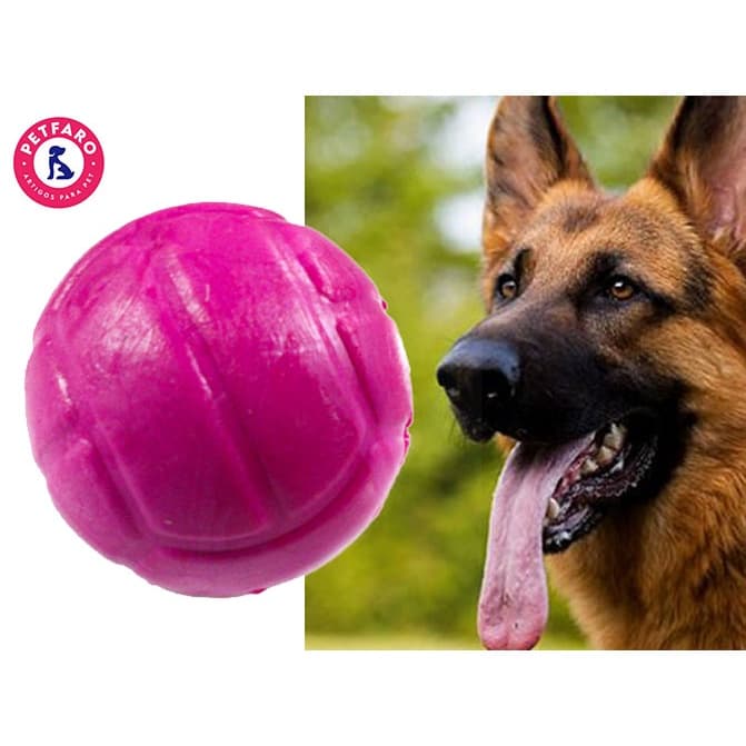Brinquedo Mordedor Bolinha Maciça para Cachorro de Grande Porte - Bolinha Pet Dura 75 mm