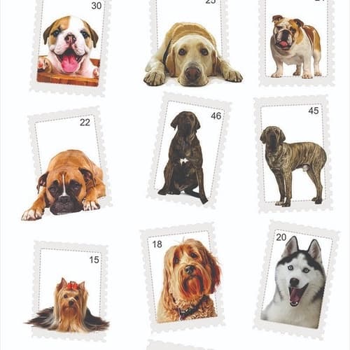 Papel Parede Adesivo Animal Fotos De Cachorros No 3d 1,50mt