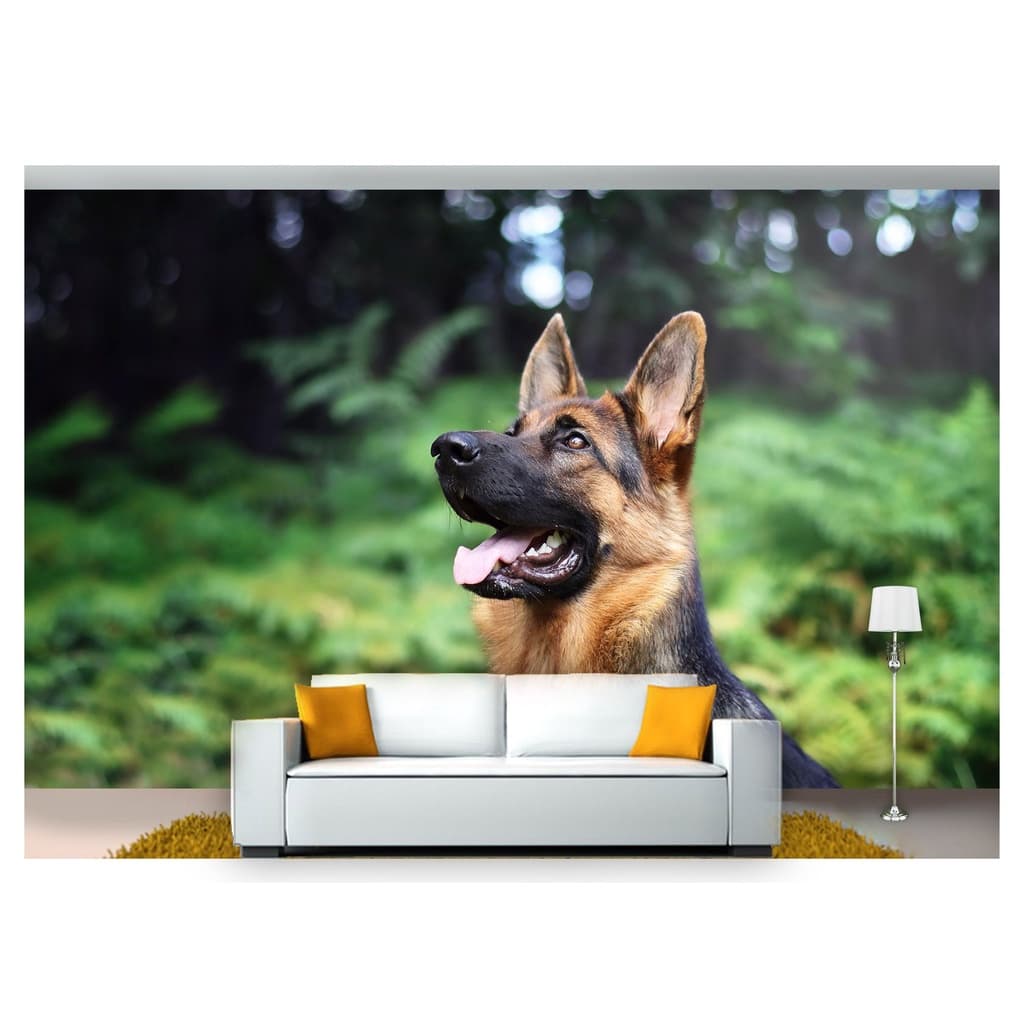 papel de parede Animais cachorro grama 3D 10m² ANM176