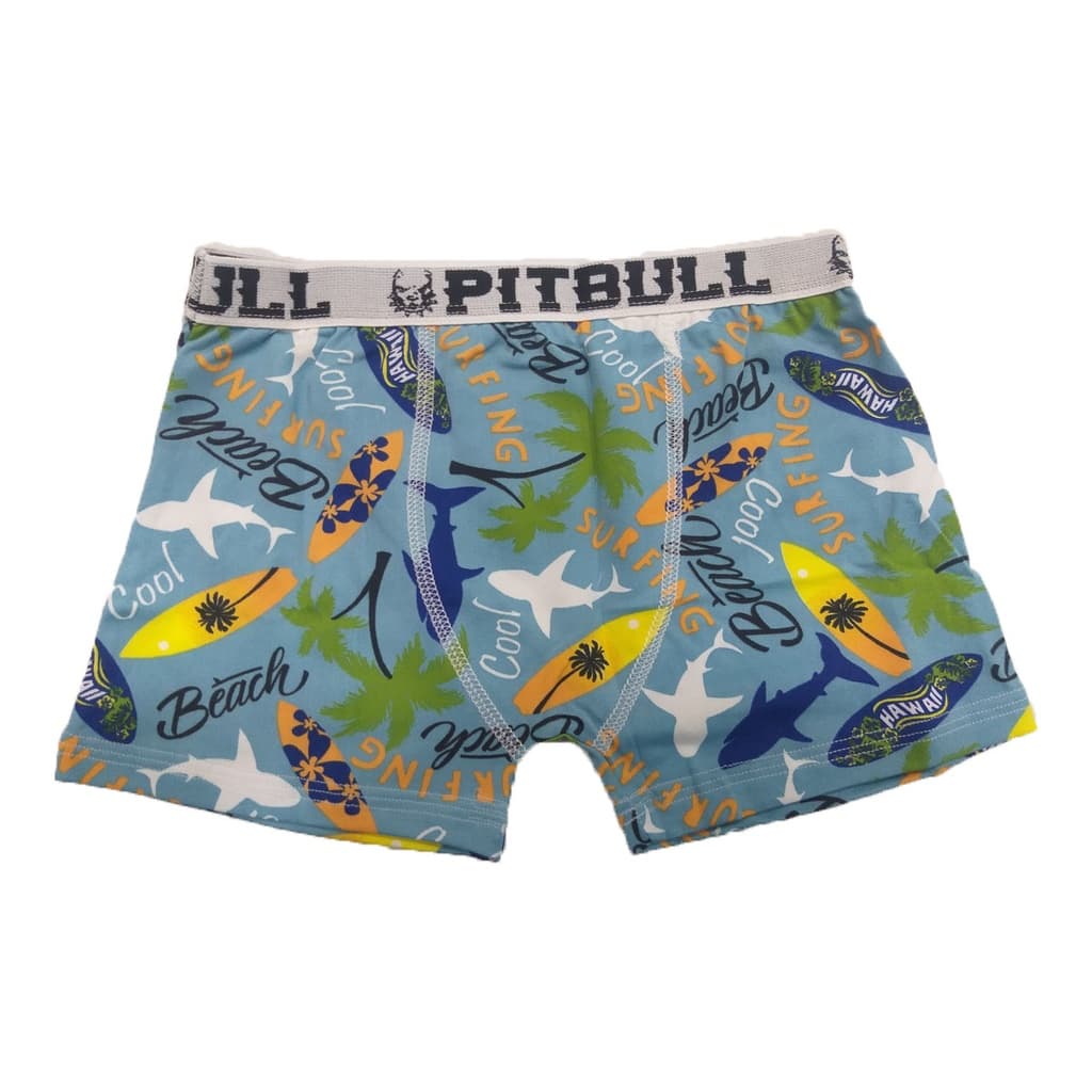 Cueca Juvenil Boxer Estampada Azul Surf Poliéster Pitbull