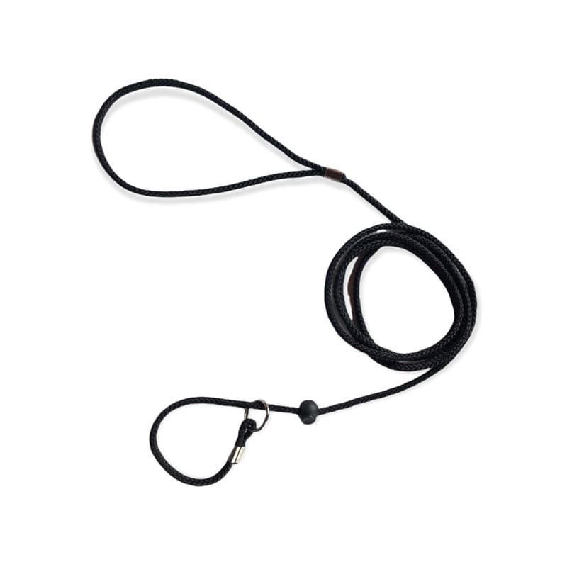 Coleira para Cachorro Adestramento Unificada anti puxão 6mm Cachorros pequenos Coleira de Cachorro Enforcador Unificada