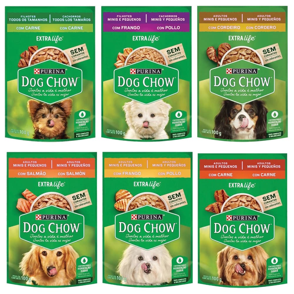 Sache Dog Chow 100g Caixa Display 15 Unidades
