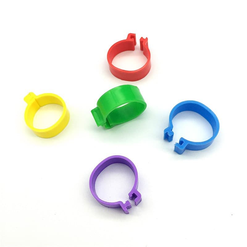 50 Peças Anéis De Frango Anel De Pé De Aves Diâmetro 1.6cm/2.0cm Marca De Pássaros