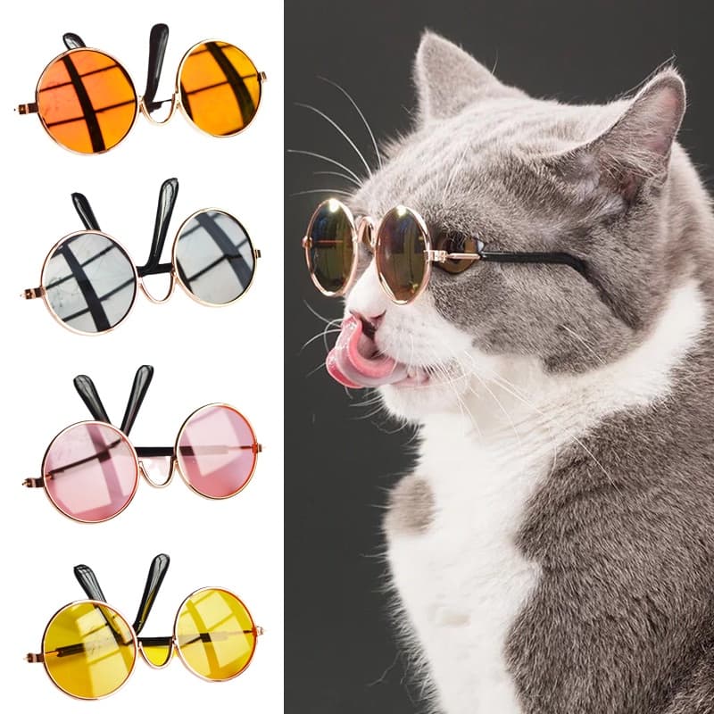 Moda Gato Cachorro Óculos De Sol Redondo Transparente Refletivo Para Animais De Estimação Com Cinto Antiderrapante gatos