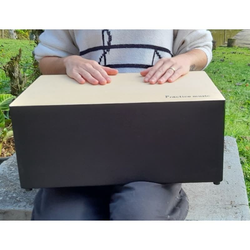 Cajon de colo/mesa Acústico (com esteira 12 Fios)