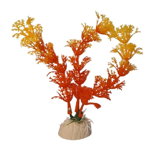 Planta aquática para decoração de aquário - tanque peixes