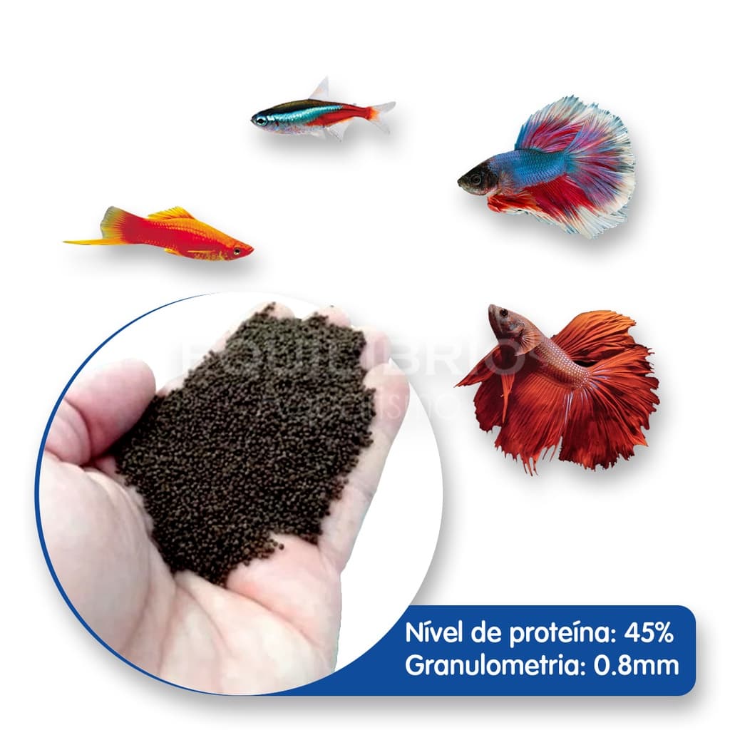 Ração Para Bettas, Neons, Acarás E Outros Peixes 250g