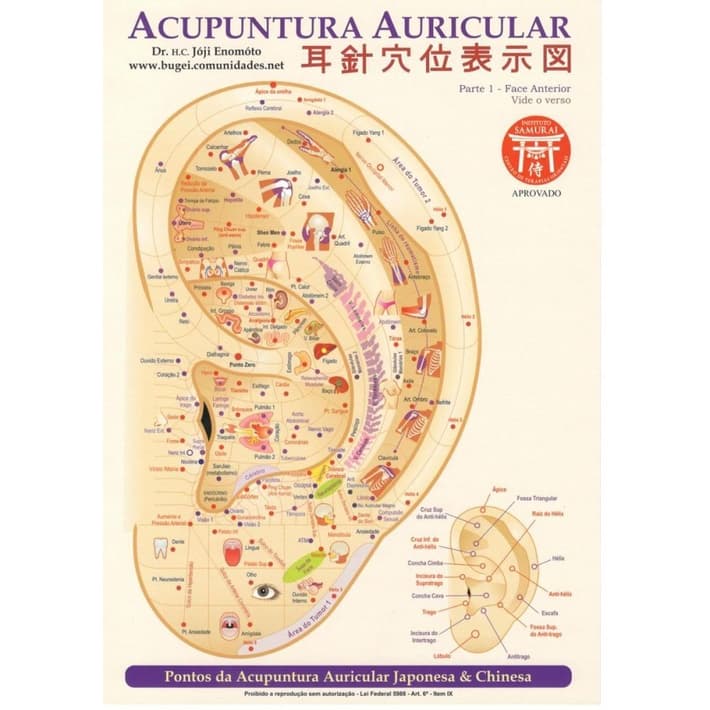 Mapa Acupuntura Auricular Prof. Joji Enomoto