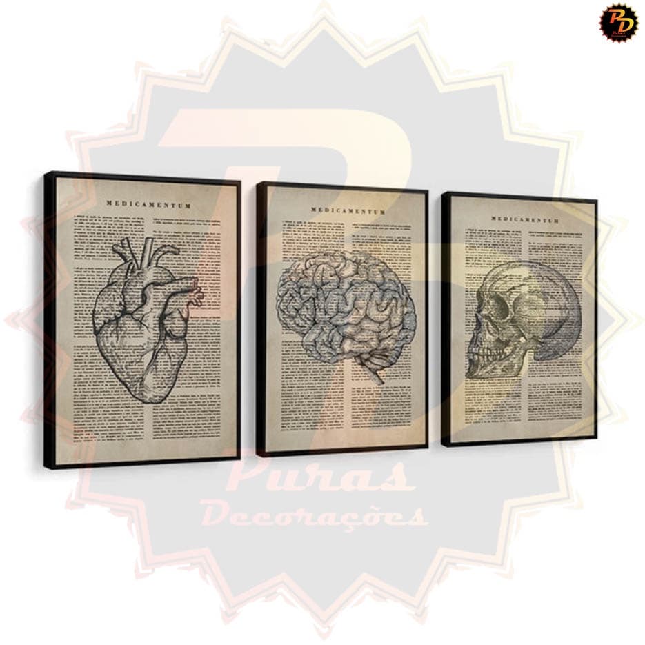 Kit Quadros Decorativos Mosaico 3 Peças Moderno Decoração Consultório Médico Psicologia Medicina Recepção Vintage Frase Modular Presente Arte Vida