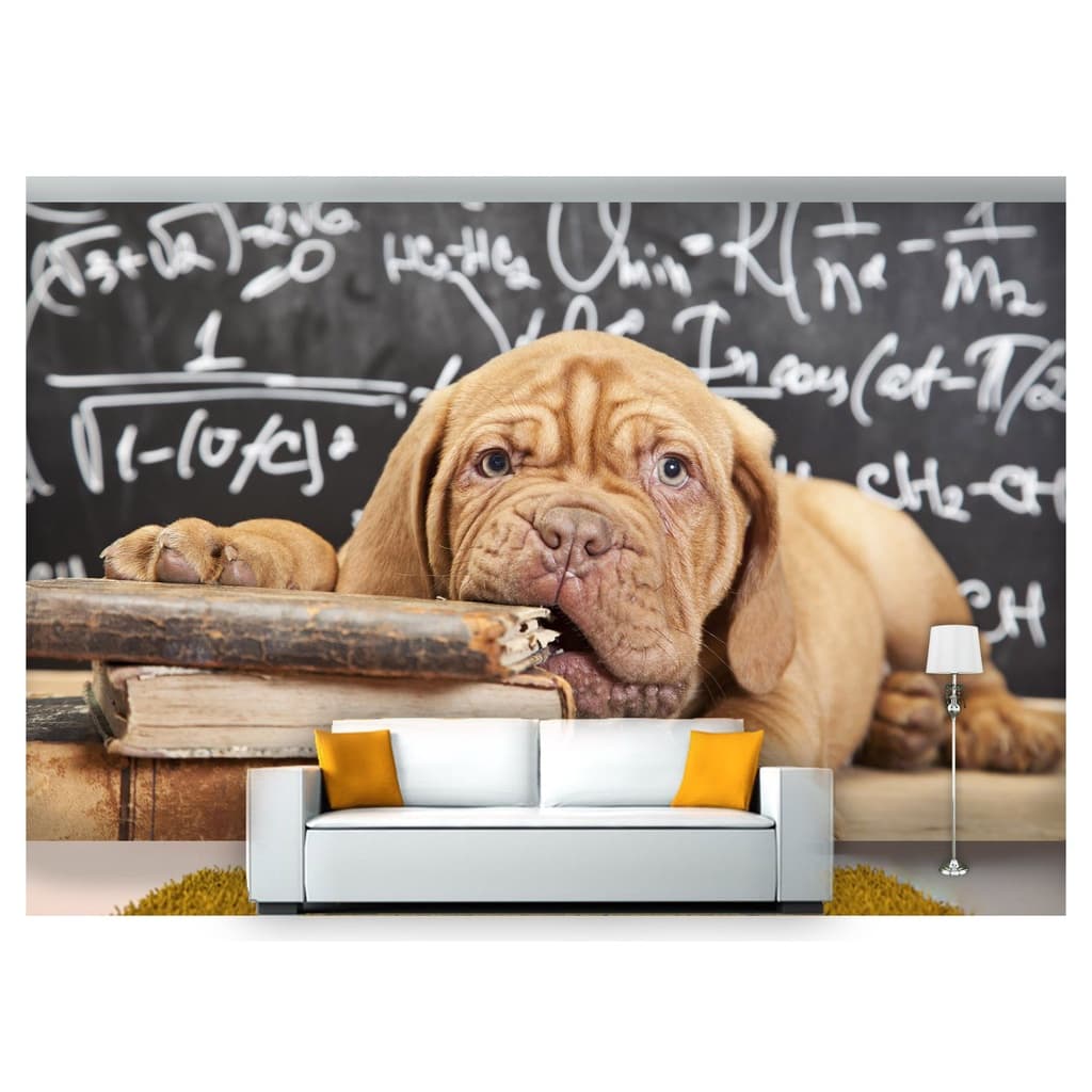 papel de parede Animais Cachorro Mordendo 3D 7,5m² ANM109