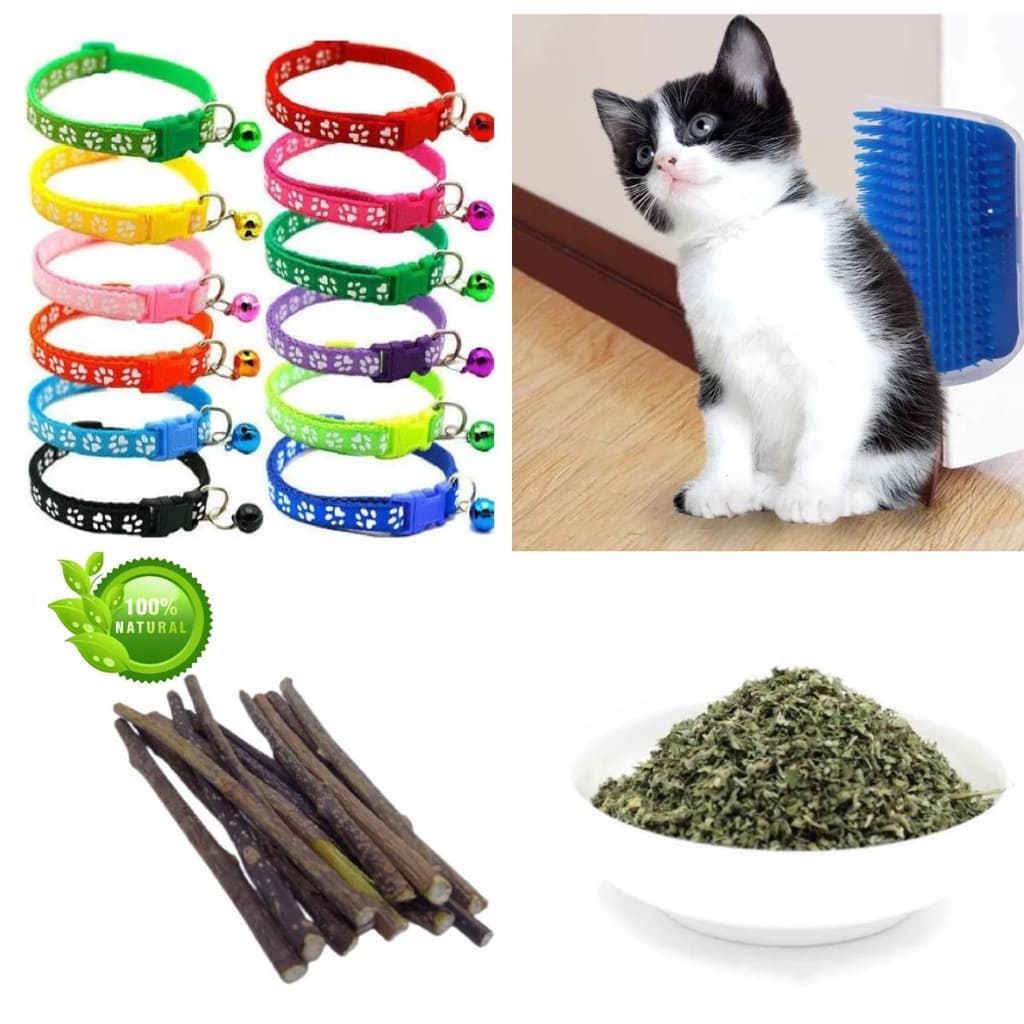 Escova Pet Massagem Tira Pelos Gatos Parede + Erva do Gato Catnip 5 Gramas + Matatabi 5 unidades + 1 Coleira Kit Super Gatinho Feliz.