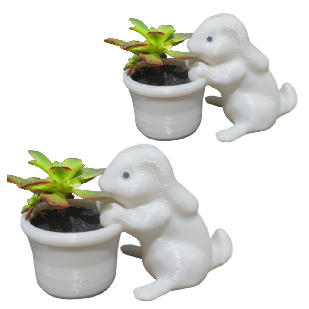 2 Vasinhos Coelhos - Decoração Criativa para sua Casa